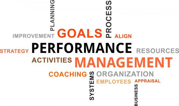 Performance related pay literature review