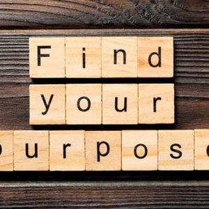 purpose vs objective