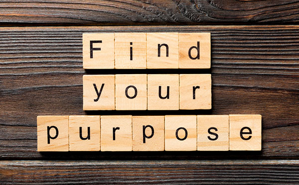 purpose vs objective