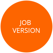 Job version