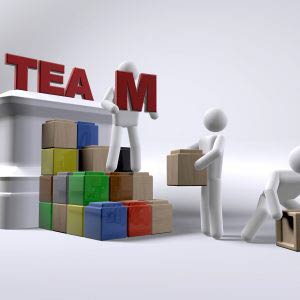 TEAM building