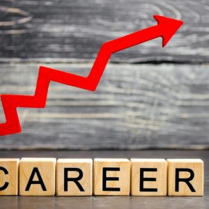 Career wooden blocks with graph