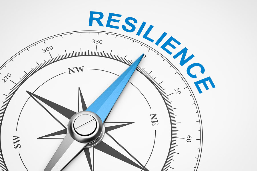 resilience as physical resilience as a concept on a compass