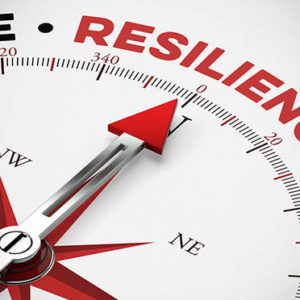 resilience as physical resilience as a concept on a compass