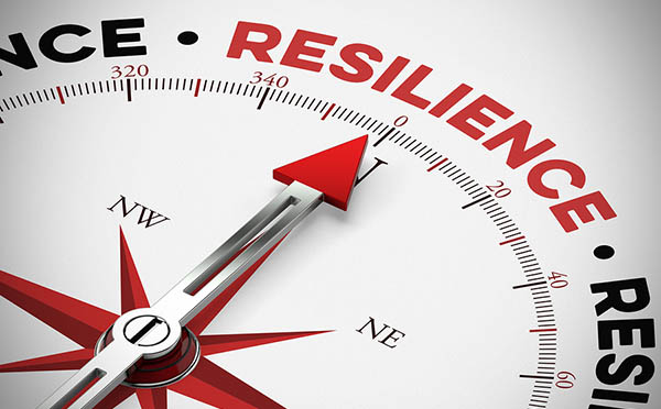 resilience as physical resilience as a concept on a compass