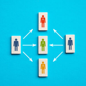organisational schema
