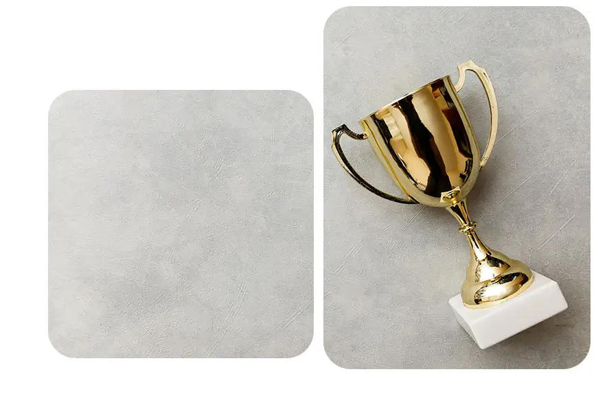 awards that mtd have won